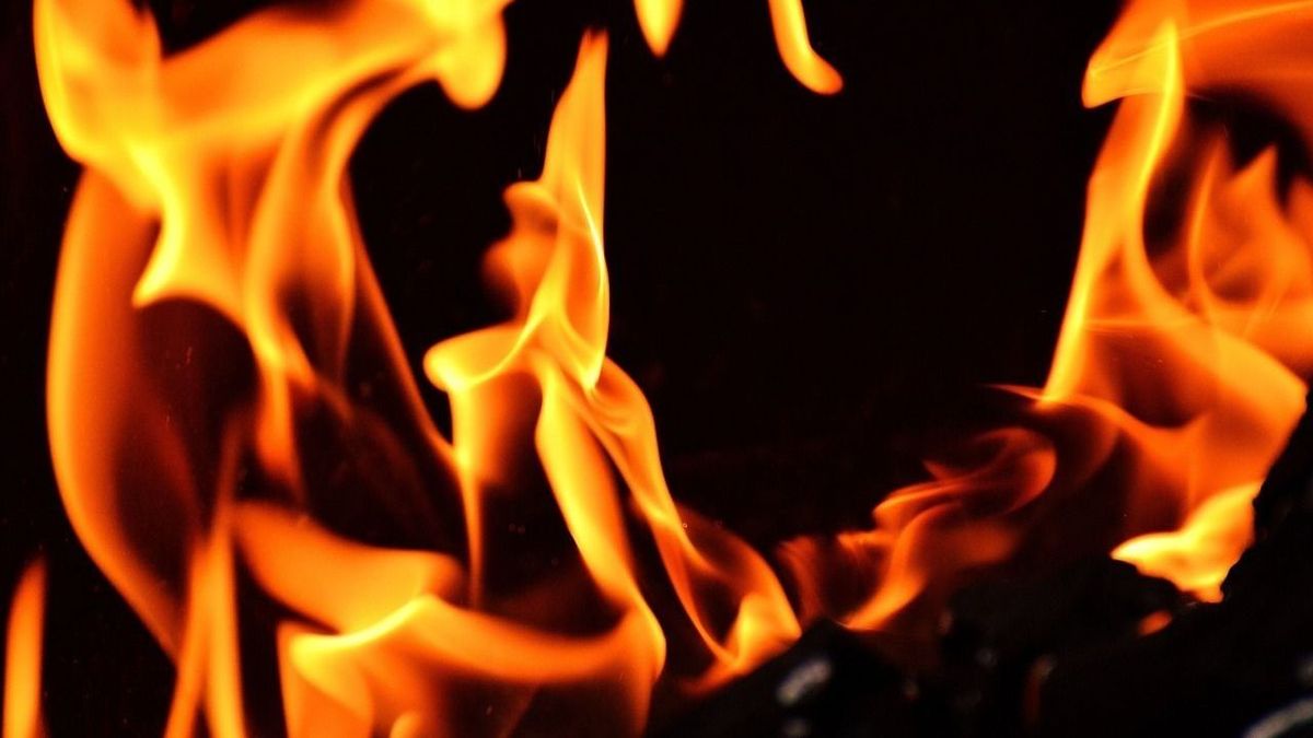 brutális tűz: kigyulladt egy sertésszállító az m6 oson